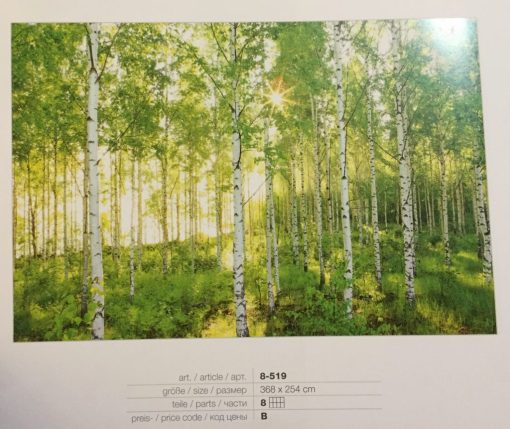 Fotomural bosque luz
