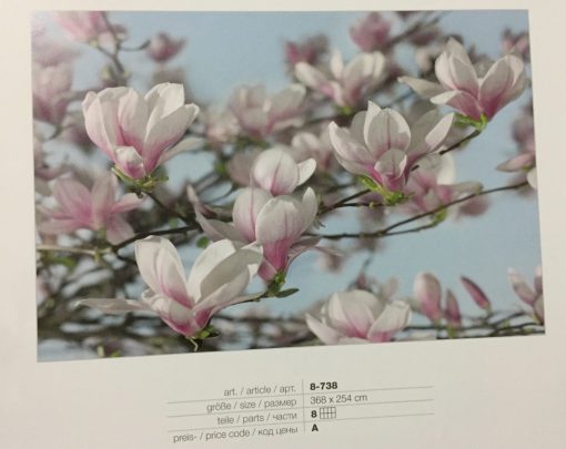 Fotomural Flores 1