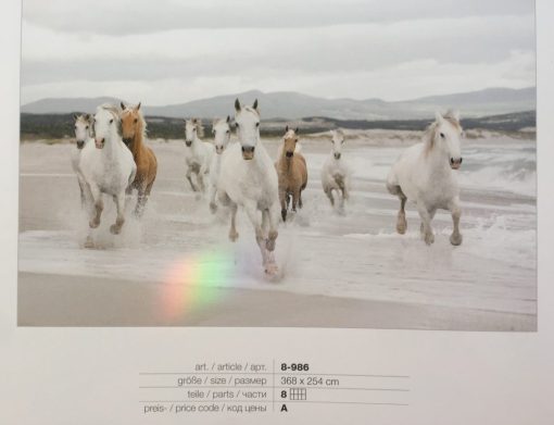 Fotomural caballos