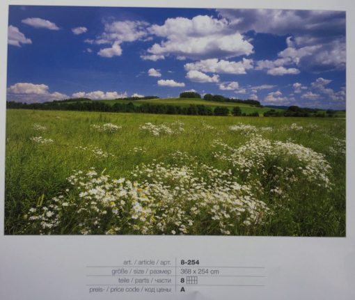 Fotomural Komar Campo
