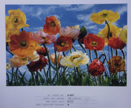 Fotomural Komar Flores