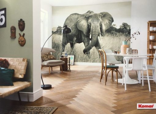 Fotomural Komar Elefante